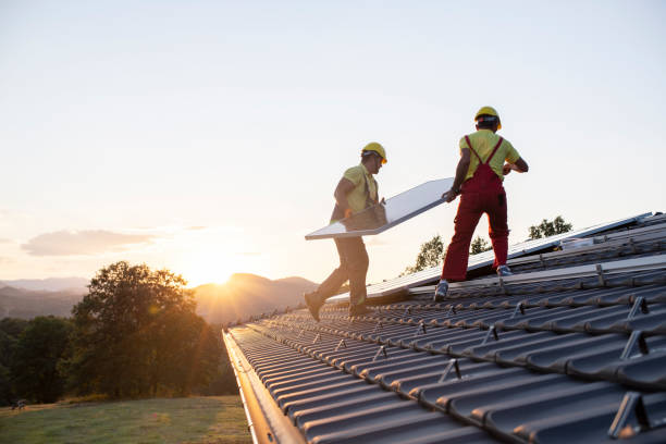 Best Storm Damage Roof Repair  in Spring Valley, MN