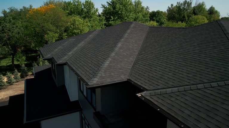 Best Sheet Metal Roofing  in Spring Valley, MN