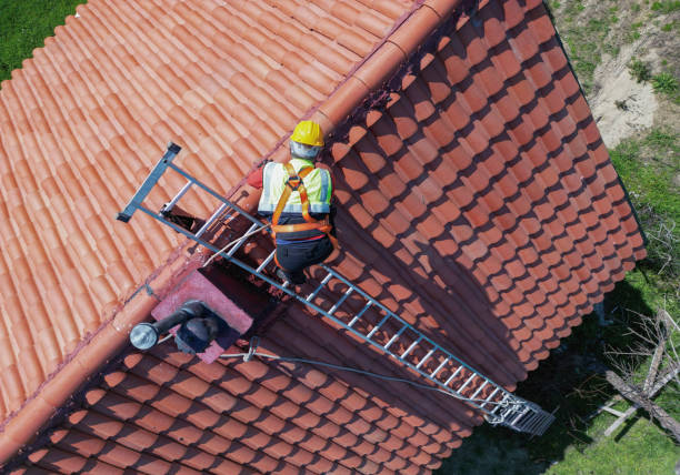 Best Gutter Installation and Repair  in Spring Valley, MN